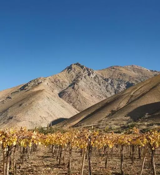 Hotelli Glamping Miraflores