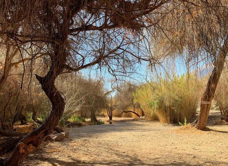 בית מלון כפרי Glamping Miraflores