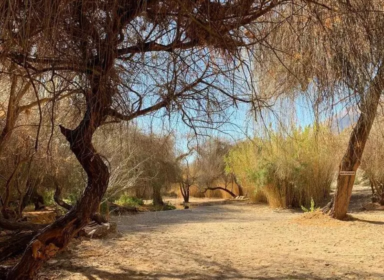 Hotelli Glamping Miraflores