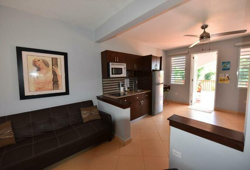 Isabela Villa Sleeps 40, Pool, Jacuzzi, Bbq, Power Plant, Volley, Pool Table
