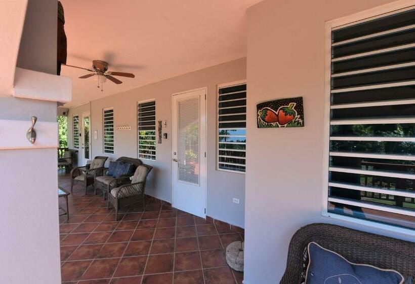 Isabela Villa Sleeps 40, Pool, Jacuzzi, Bbq, Power Plant, Volley, Pool Table