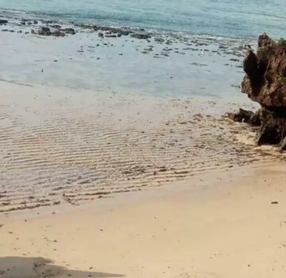 پانسیون Casa 1895   Peaceful, Secure And Serene Guesthouse In Mombasa