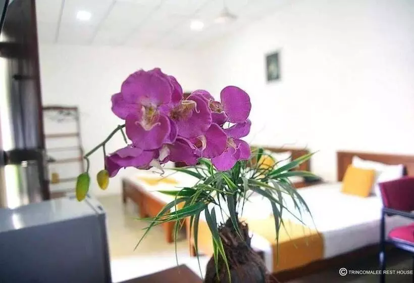 پانسیون Trinco Rest House