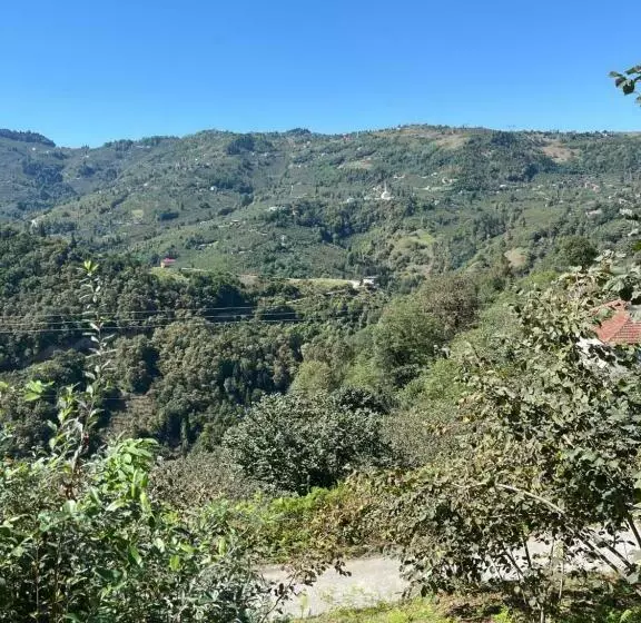 House In Trabzon