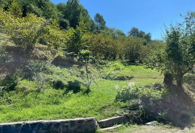 House In Trabzon
