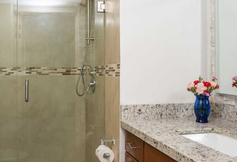 Ocean Front Condo With Pool Sleeps 6 Adults Quinta Del Mar 203