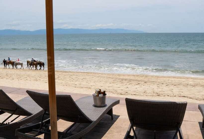 Ocean Front Condo With Pool Sleeps 6 Adults Quinta Del Mar 203