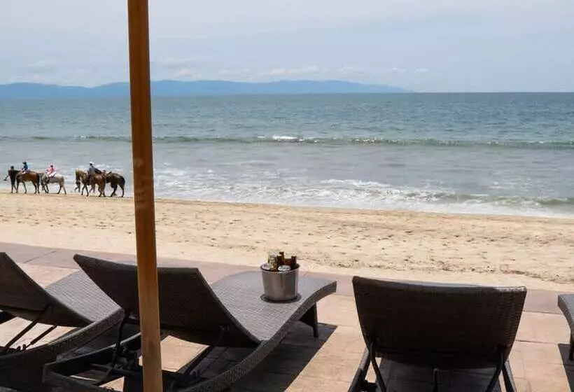 Ocean Front Condo With Pool Sleeps 6 Adults Quinta Del Mar 203