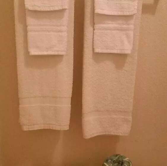 בית מלון כפרי America S Best Inn  Brinkley