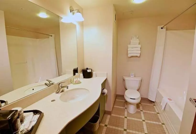 호텔 Chief Logan Lodge