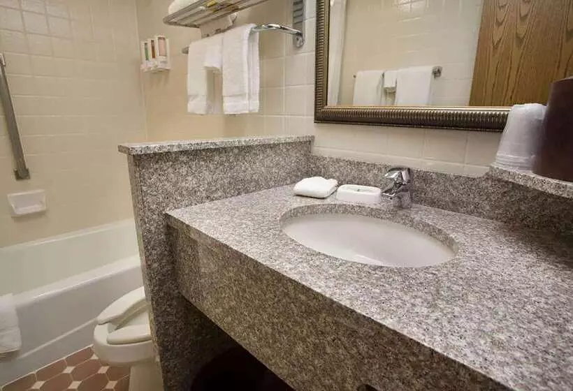 호텔 Days Inn By Wyndham Rolla