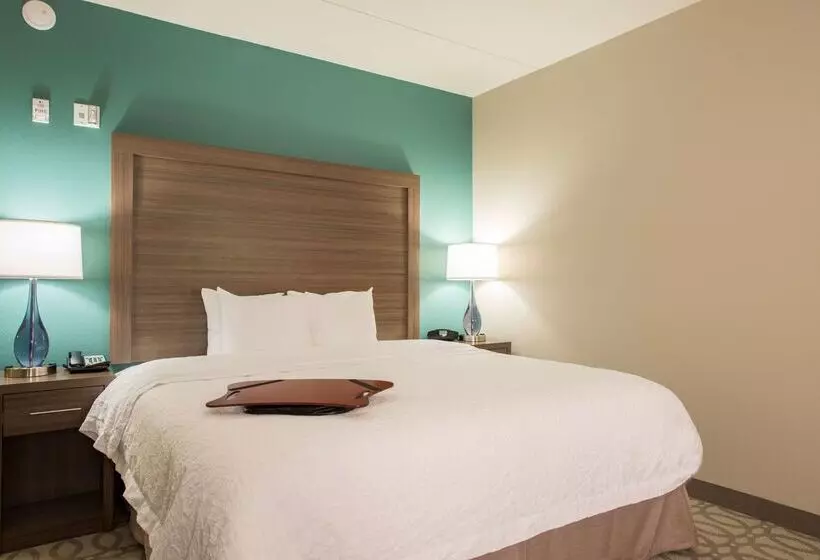 Hotel Hampton Inn Greenville/i385 Haywood Mall