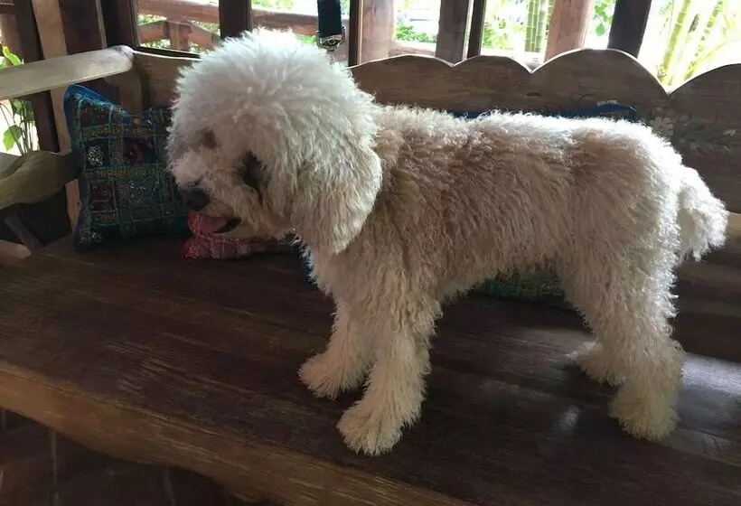 ホテル Pousada Villabella Villaggio