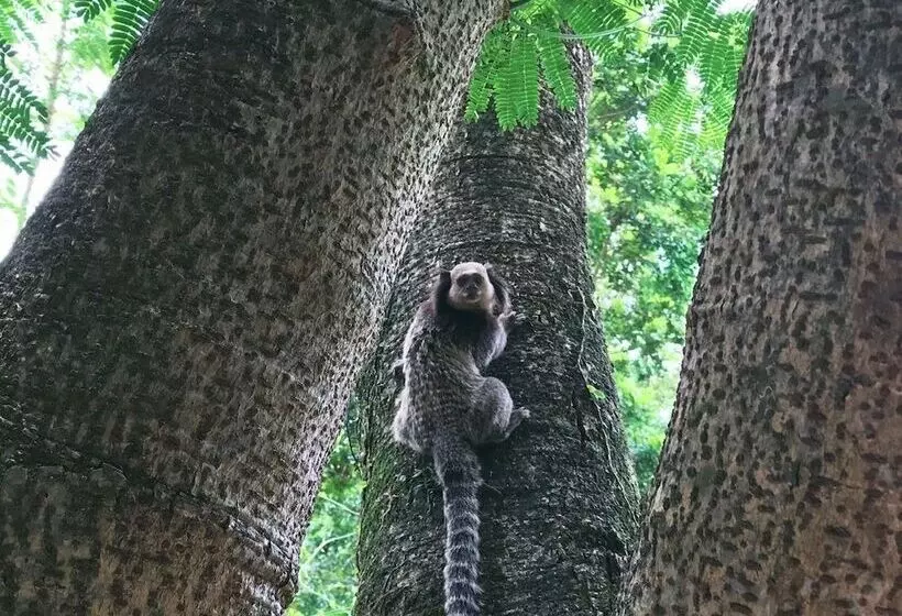 ホテル Pousada Villabella Villaggio