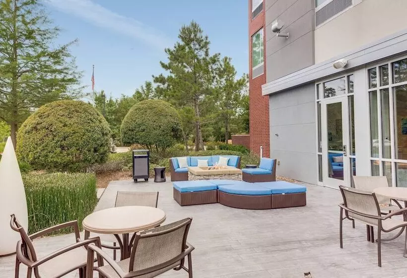 ホテル Springhill Suites By Marriott Houston The Woodlands