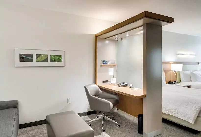 ホテル Springhill Suites By Marriott Houston The Woodlands
