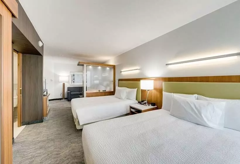 ホテル Springhill Suites By Marriott Houston The Woodlands