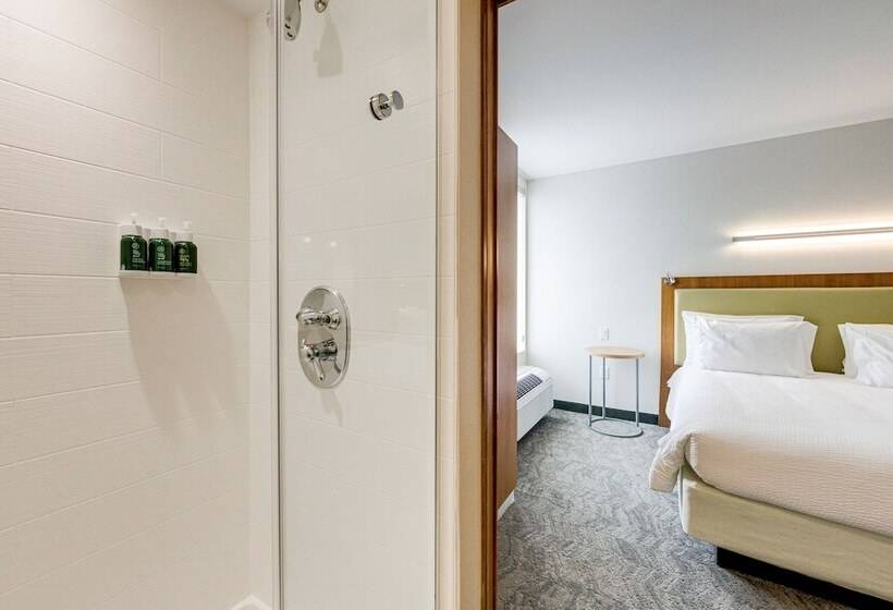 فندق Springhill Suites By Marriott Houston The Woodlands