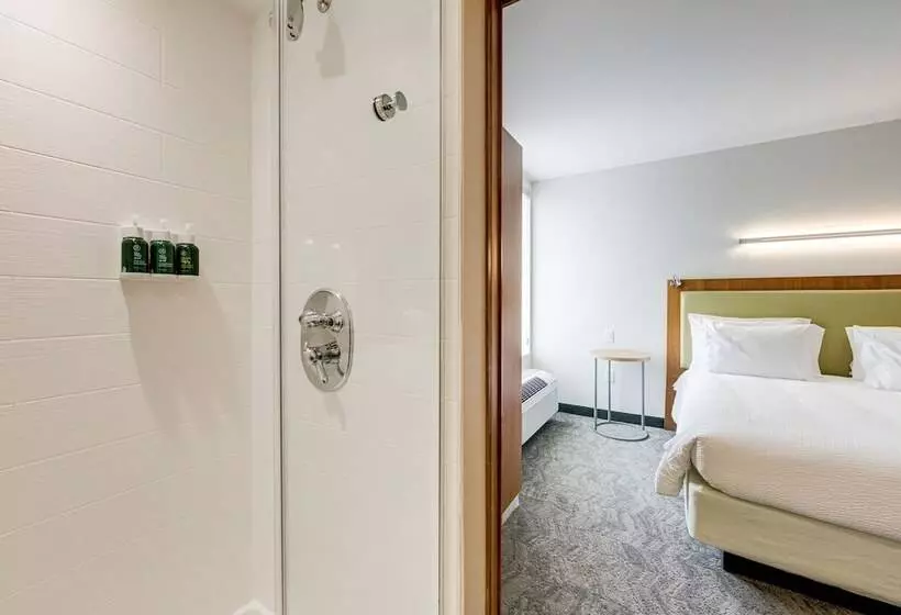 ホテル Springhill Suites By Marriott Houston The Woodlands