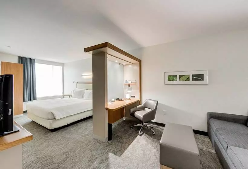 ホテル Springhill Suites By Marriott Houston The Woodlands