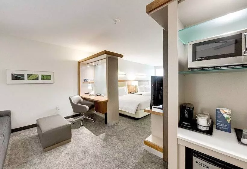 ホテル Springhill Suites By Marriott Houston The Woodlands