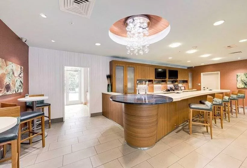 ホテル Springhill Suites By Marriott Houston The Woodlands