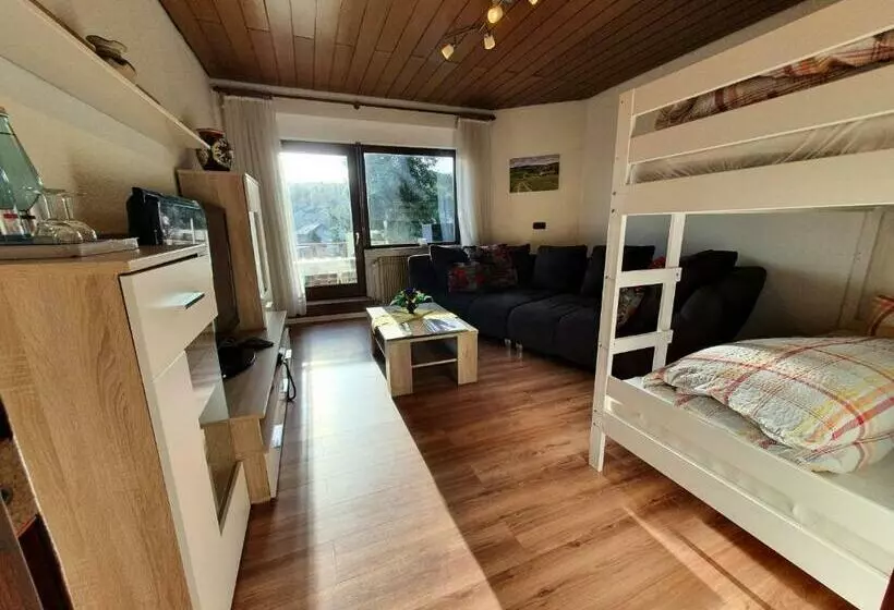 Ferienhaus Schönwald Im Herzen Des Schwarzwaldes 2 Zimmer Maisonette Wohnung Mit Balkon App 12