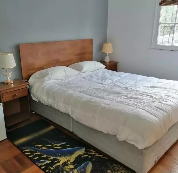 پانسیون Hostal Suzi