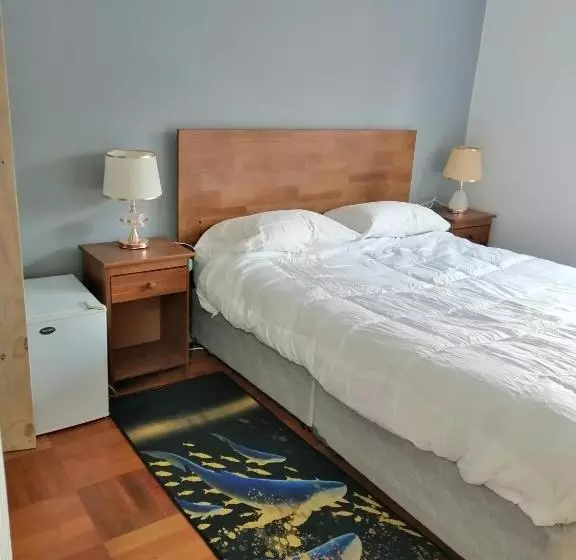 پانسیون Hostal Suzi