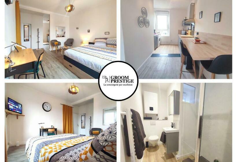 Le Triskel Studio Un Chez Soi Proche De La Gare