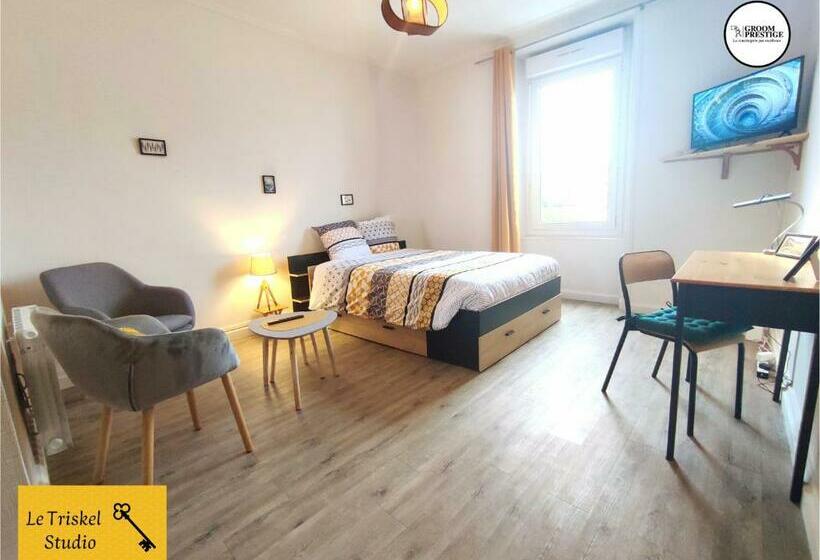 Le Triskel Studio Un Chez Soi Proche De La Gare