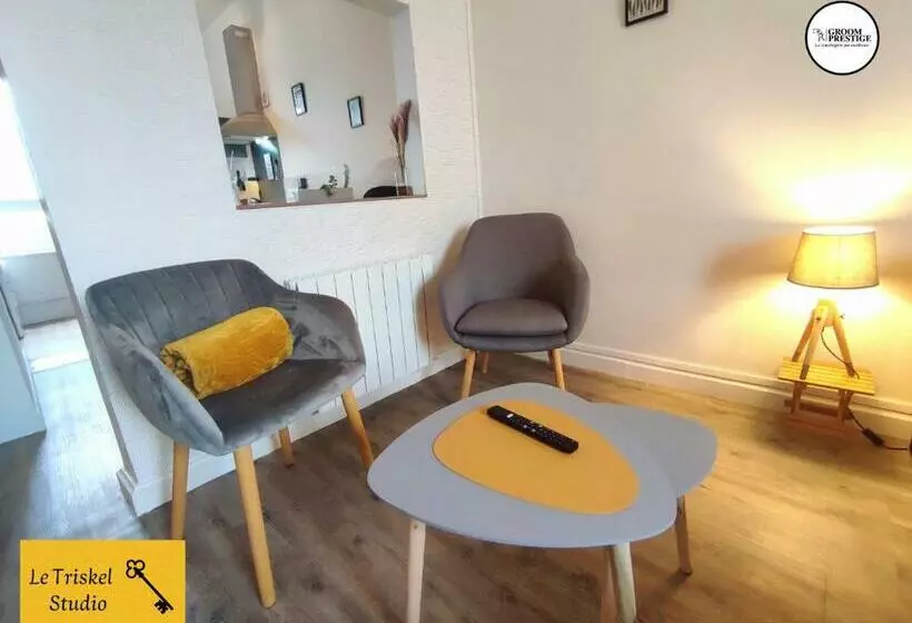Le Triskel Studio   Un Chez Soi Proche De La Gare