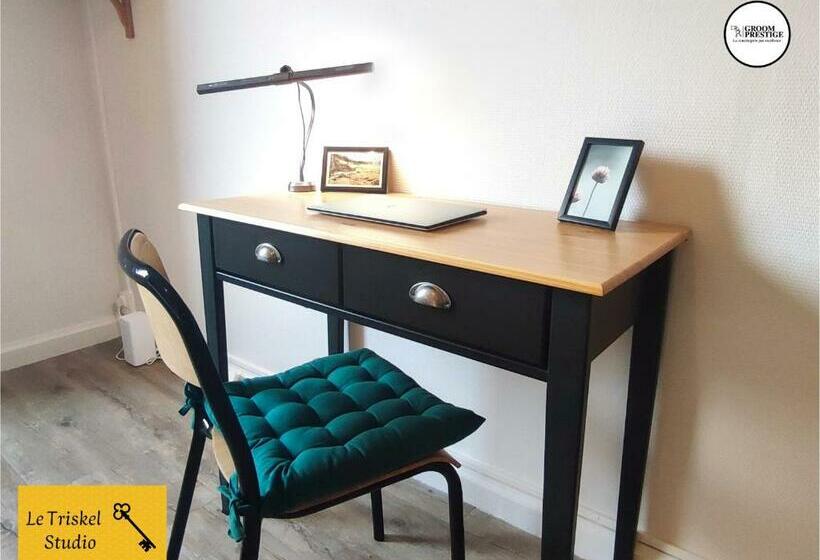 Le Triskel Studio Un Chez Soi Proche De La Gare