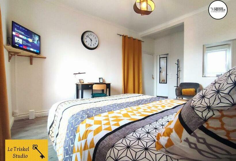 Le Triskel Studio Un Chez Soi Proche De La Gare