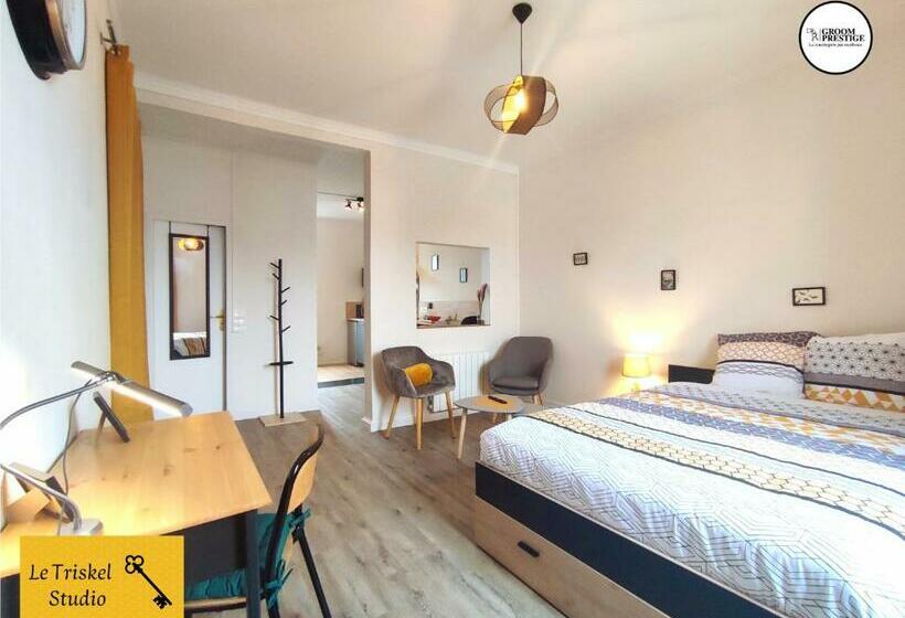 Le Triskel Studio Un Chez Soi Proche De La Gare