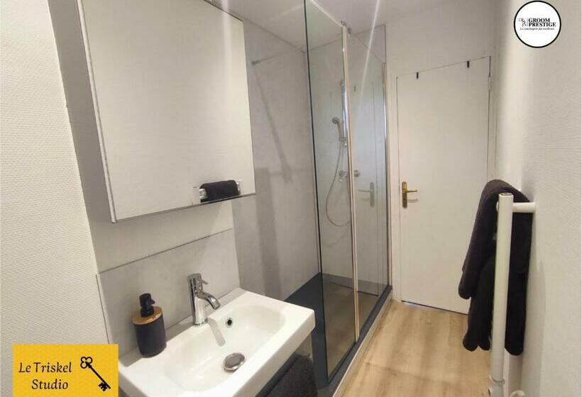 Le Triskel Studio Un Chez Soi Proche De La Gare
