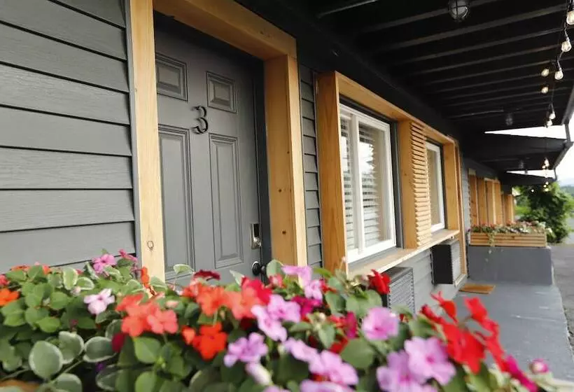 Motelli The Vine On Main