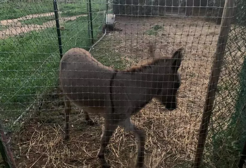 Majatalo Casa Nel Verde Orbetello
