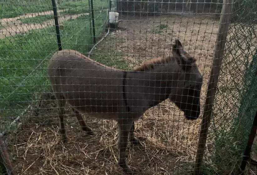 Majatalo Casa Nel Verde Orbetello