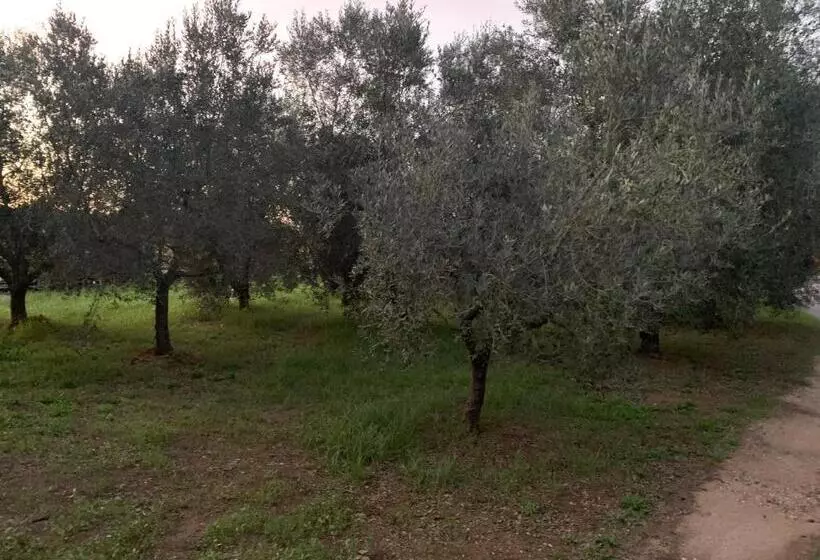 Majatalo Casa Nel Verde Orbetello