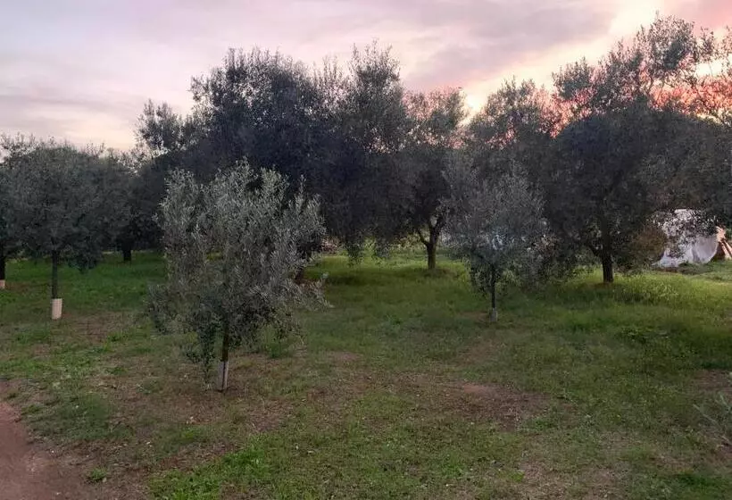 Majatalo Casa Nel Verde Orbetello
