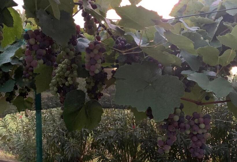 بنسيون Casa Nel Verde Orbetello