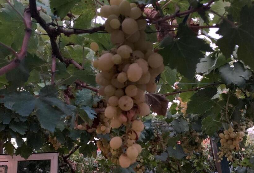 بنسيون Casa Nel Verde Orbetello