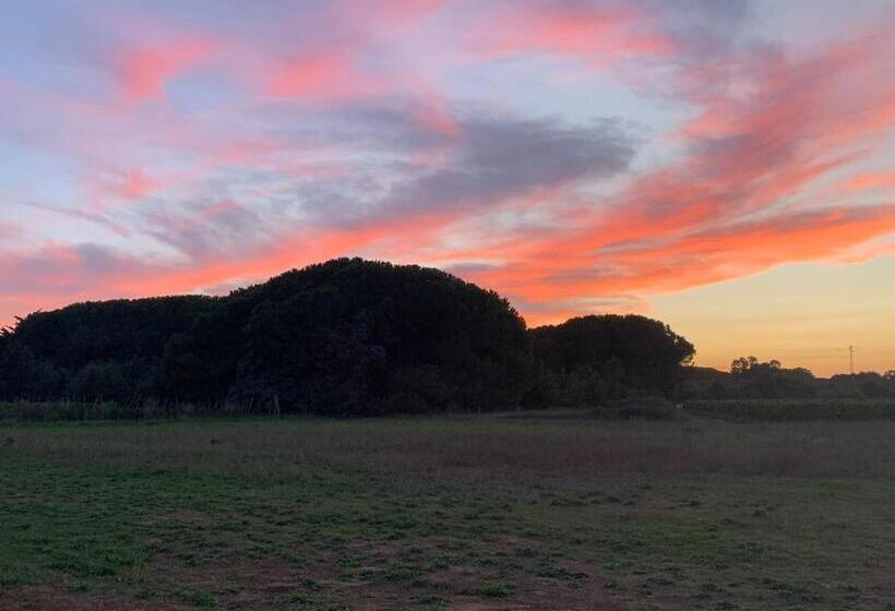 بنسيون Casa Nel Verde Orbetello