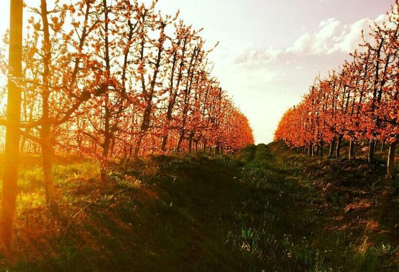 Vadersgawe Farm Camp