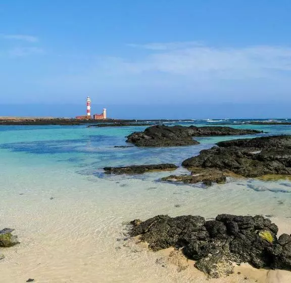 Cotillo Esencia Tropical Fiber And Beach To 1 Minute