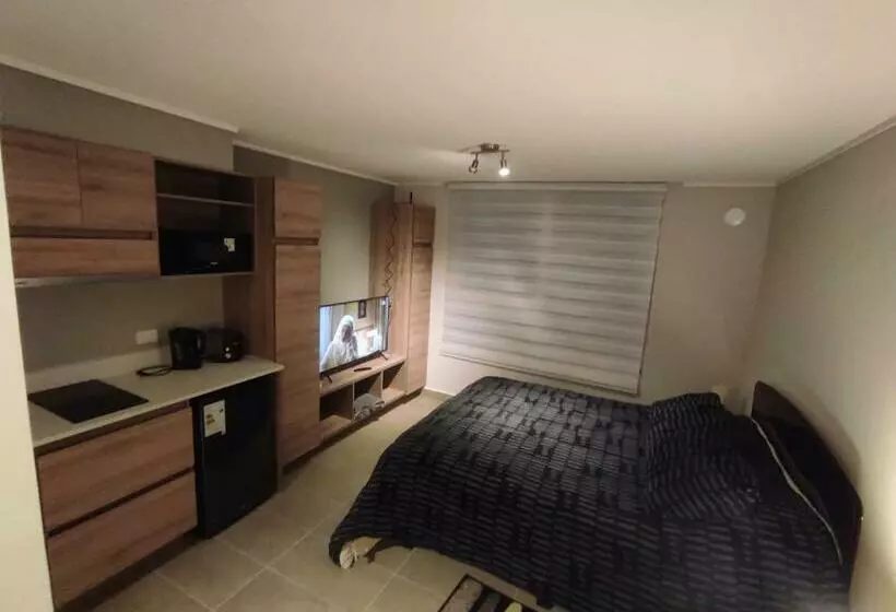 Departamento Estudio En Pleno Centro De Temuco