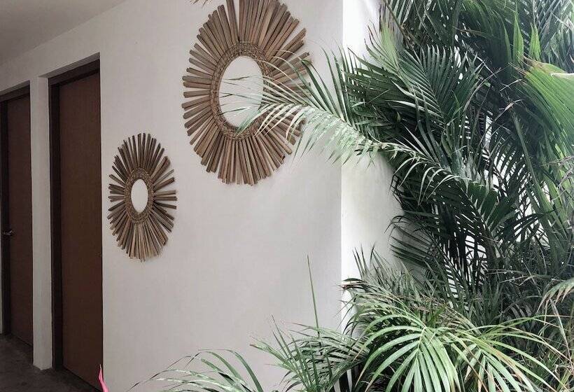 هتل Laola Surf Camp El Sunzal