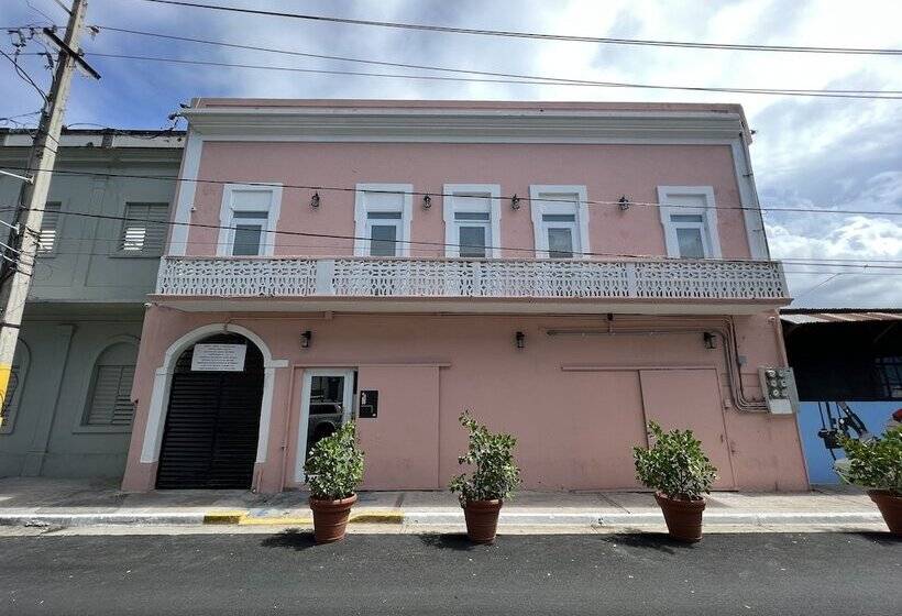 Juliette Hostel Digital Nomad Women Only