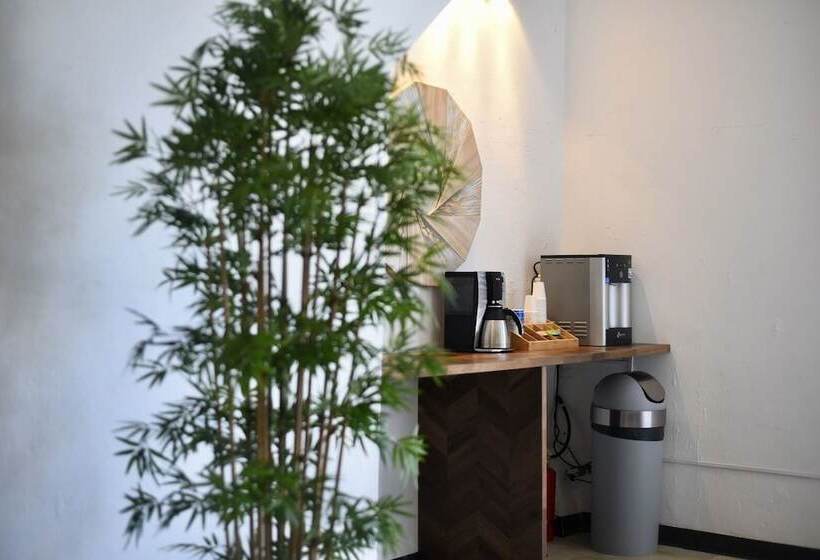 Juliette Hostel Digital Nomad Women Only